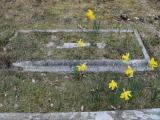 image number DSC_4879